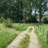 Tour 5: Krumminer Wieck